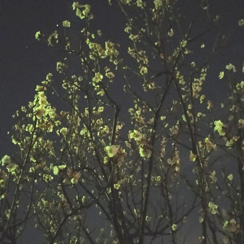 ３月
