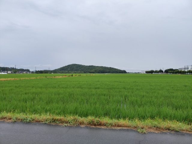 ９月