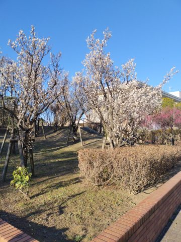 毎年この時期は